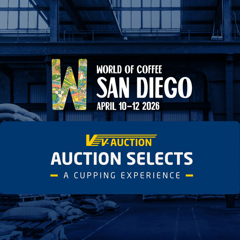 Werbegrafik für das V-Auction Selects Cupping auf der World of Coffee San Diego mit Veranstaltungsbranding und Einladung zur Specialty-Coffee-Verkostung.
